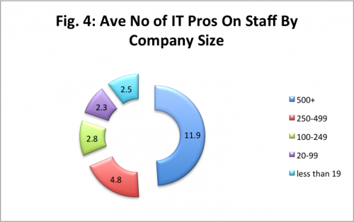 it professionals by company size